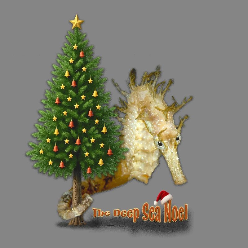 Season's Greetings from the Reef