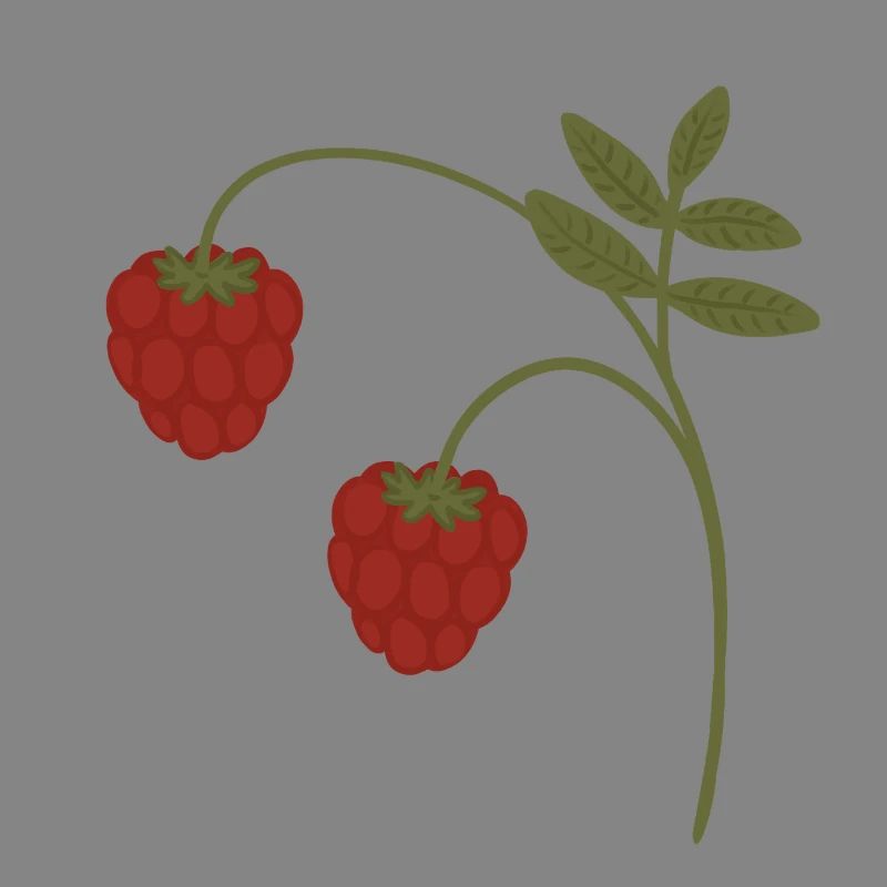 Himbeeren