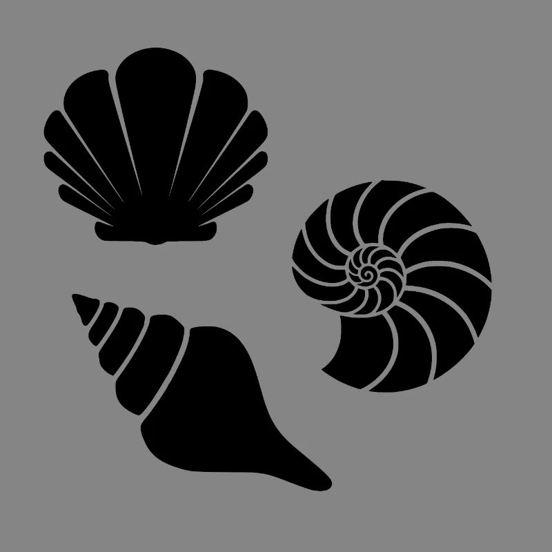 Seashells