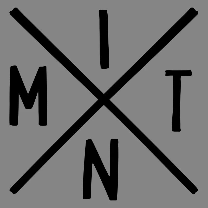 MINT Fächer