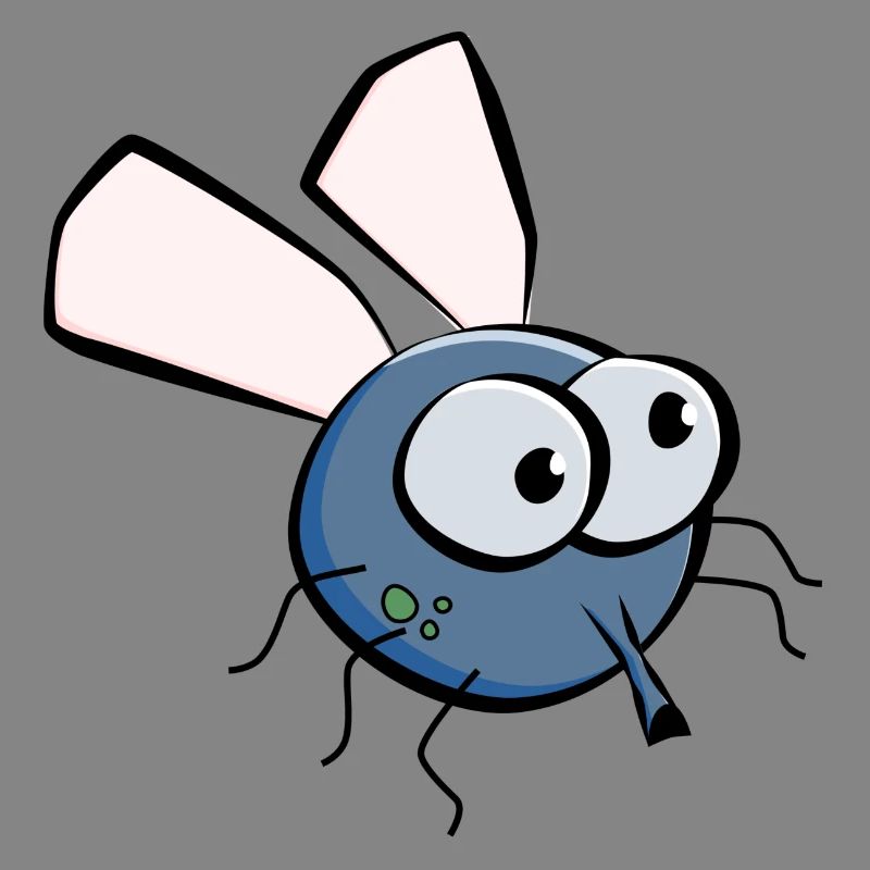 Fly