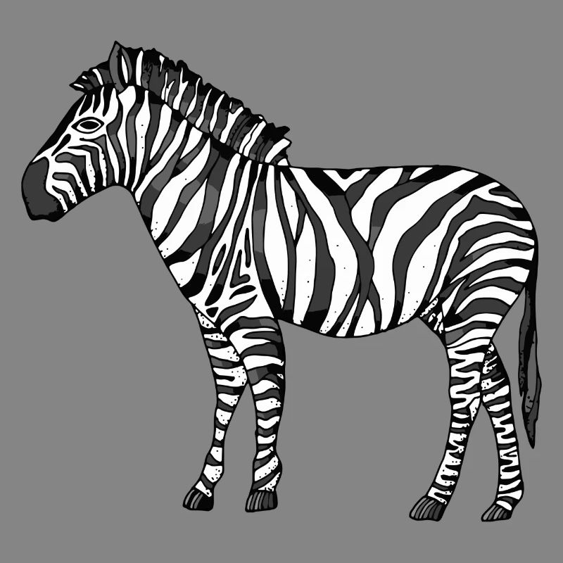 zebra