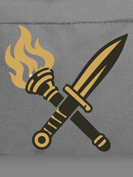 Schwert Fackel Wappen Logo