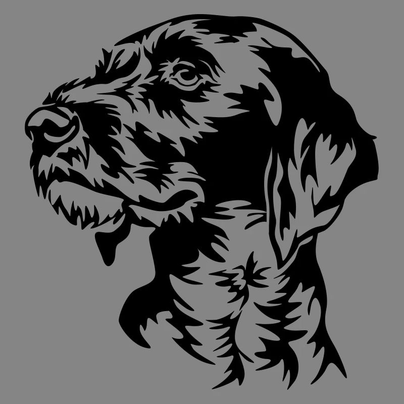 German Wirehaired Pointer head