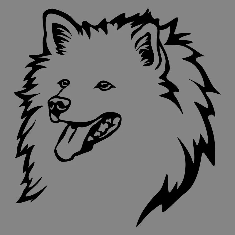 Spitz Kopf