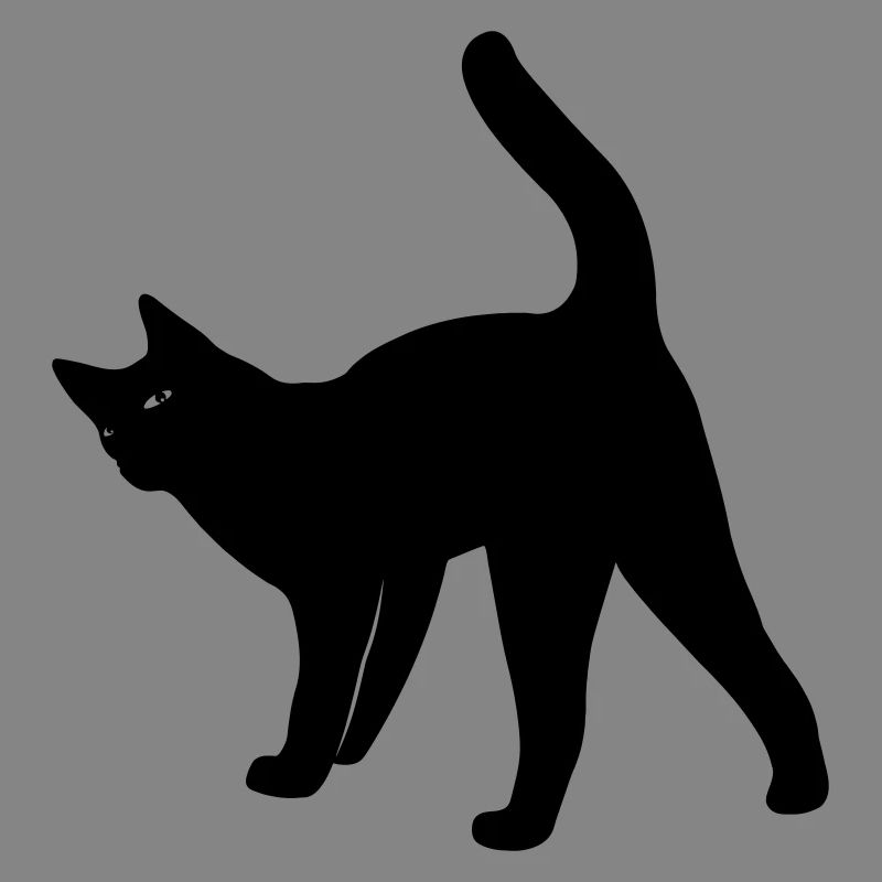 Katze Katze