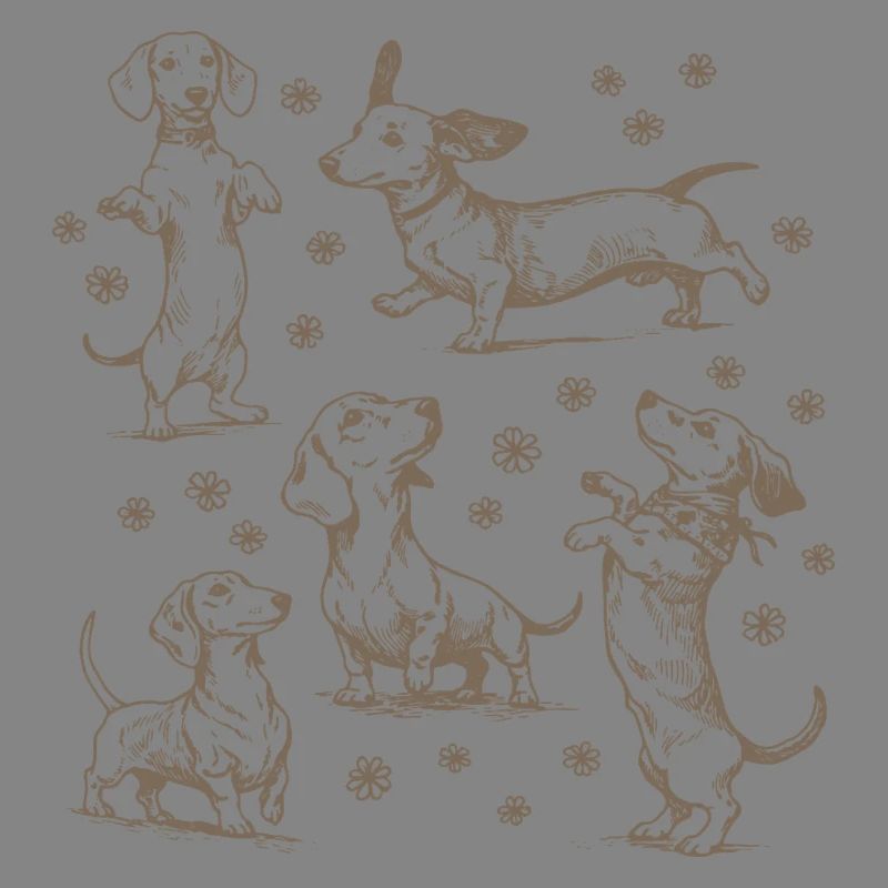 Teckel Teckel Chiens Teckels Teckel Chien teckel Teckel