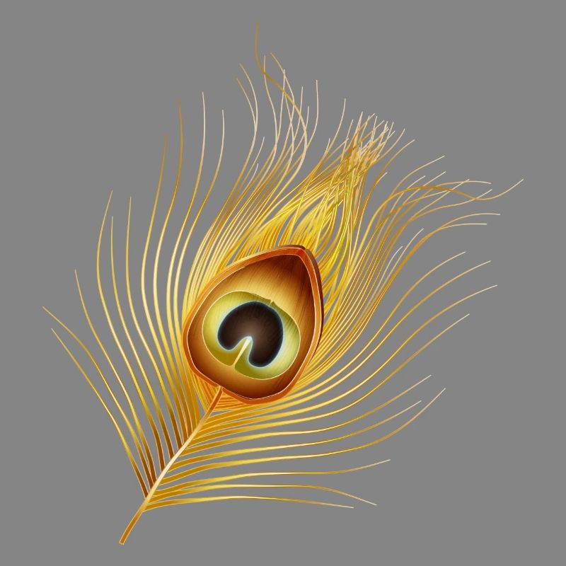 plume de paon dorée dessinée à la main