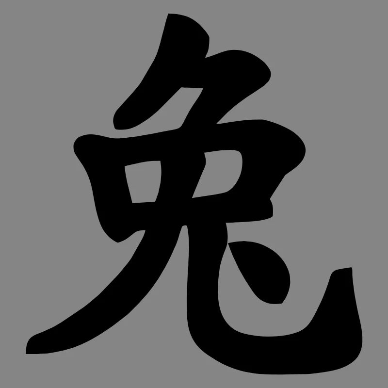 Chinese notebook rabbit shadow image