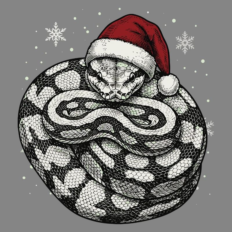 Königspython Weihnachten Ball Python Schlange