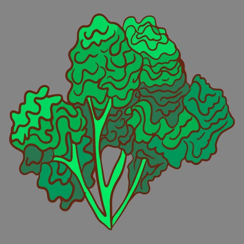 kale brown cabbage Cabbage Cabbage