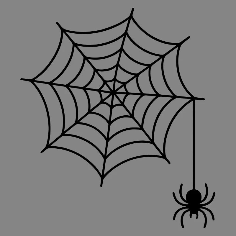 Spider web with spider silhouette