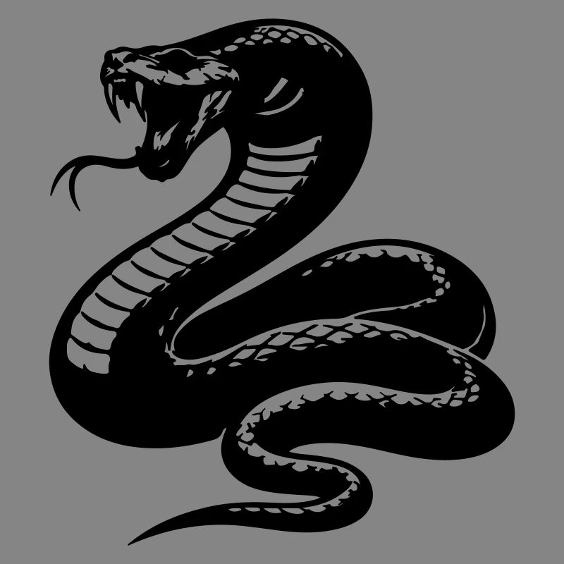 Silhouette du python serpent
