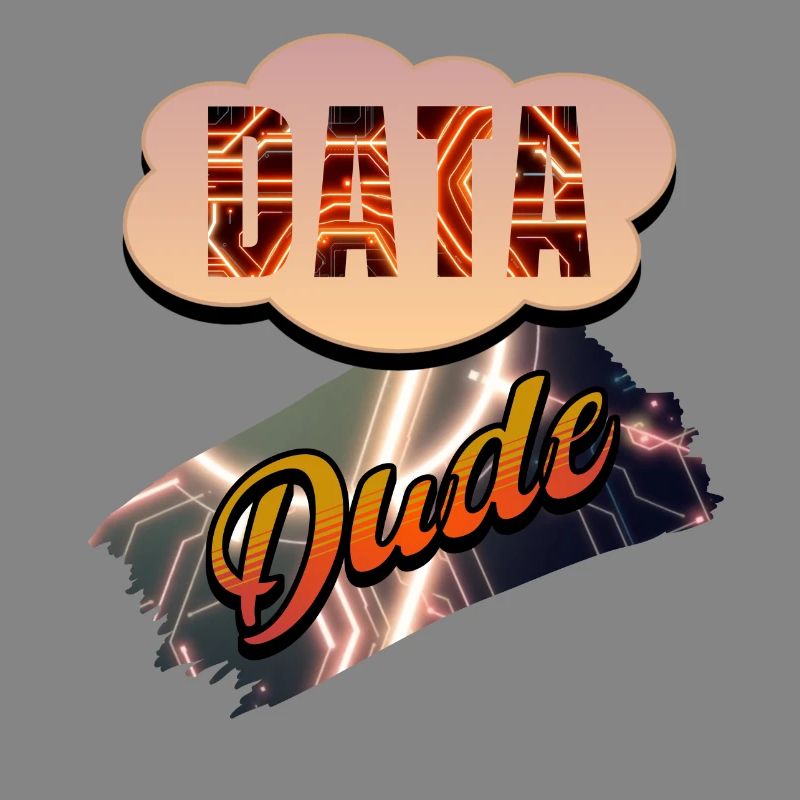Data Dude