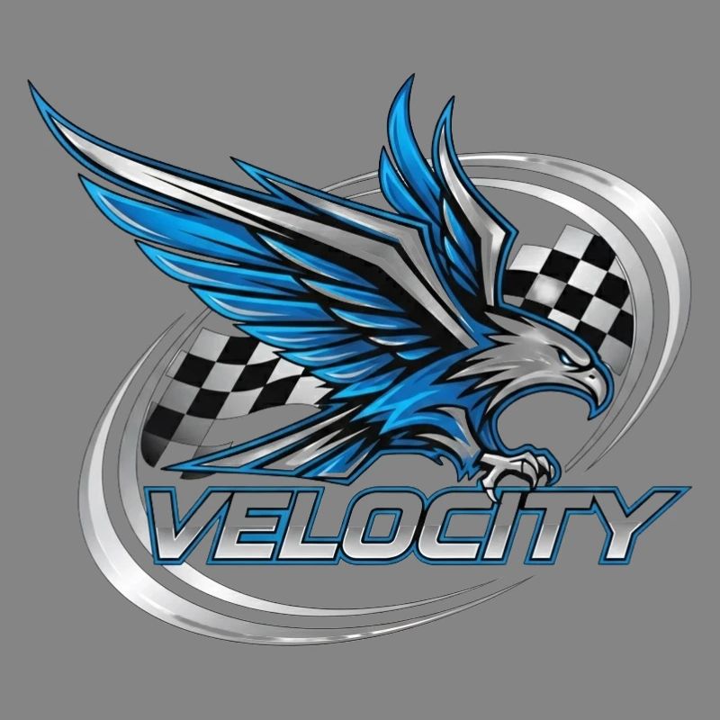 Speed Eagle Racing Design