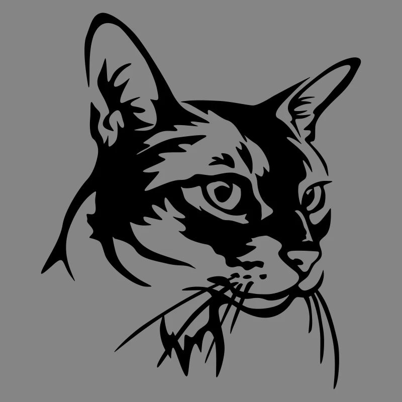 Chat abyssin