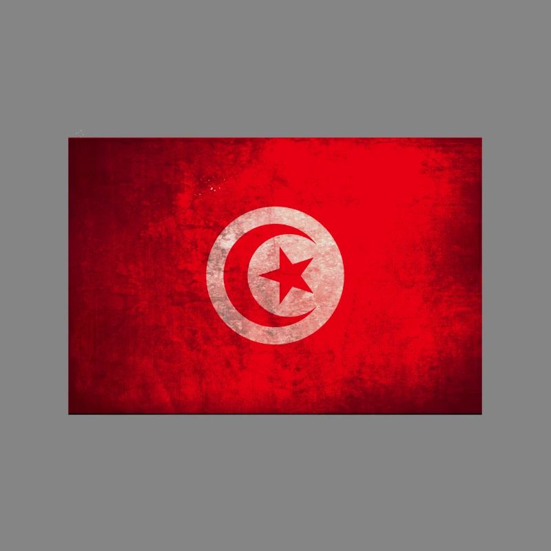 Tunisian Flag Circle Emblem