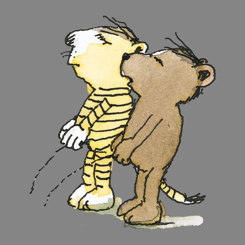 Janosch Tiger und Bär Pullern