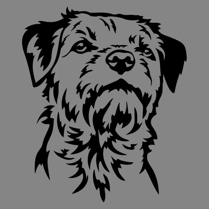 Border Terrier Head