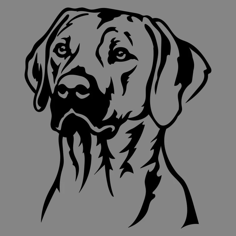 Rhodesian Ridgeback Kopf