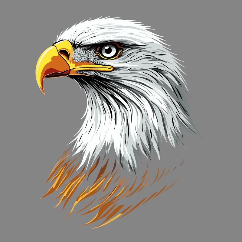 Eagle Bald Eagle Golden Eagle White-tailed Eagle