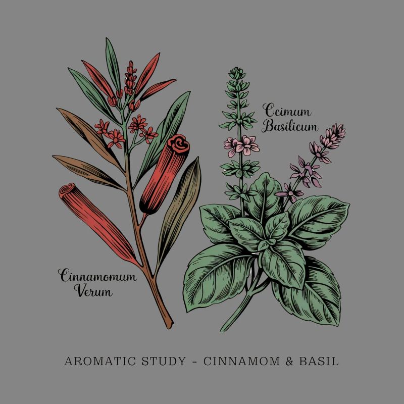Cinnamon & Basil - Botany