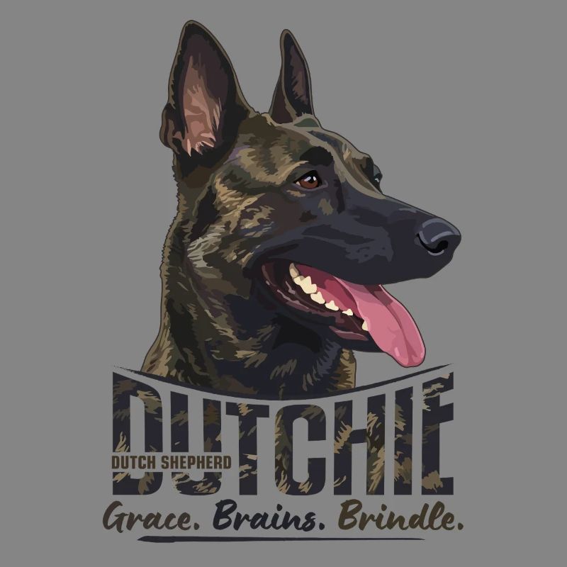 Dutchie - Holländischer Schäferhund