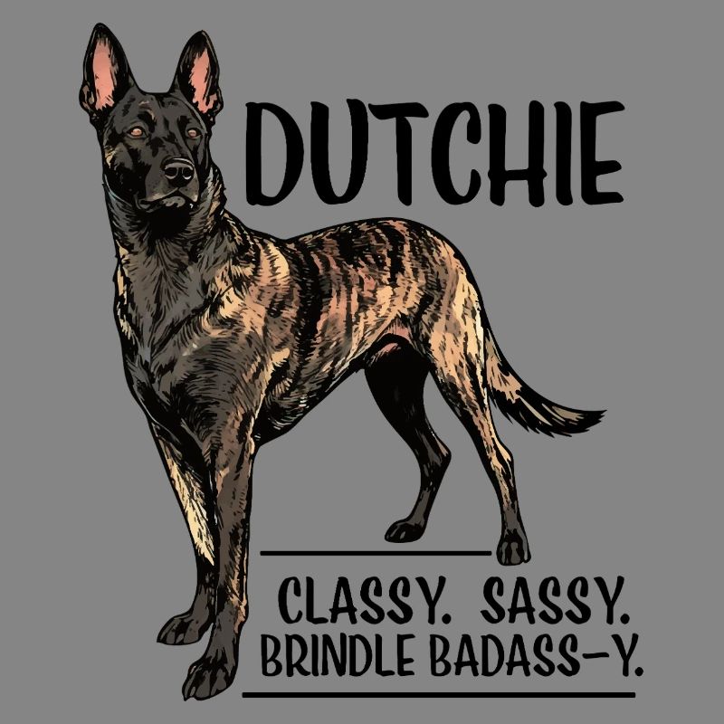 Dutchie - Holländischer Schäferhund