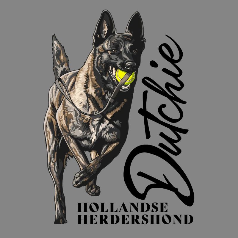 Dutch Shepherd - Dutchie 