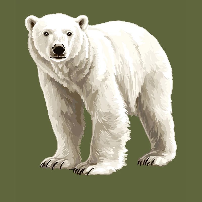 Arctic Polar Bear Illustration