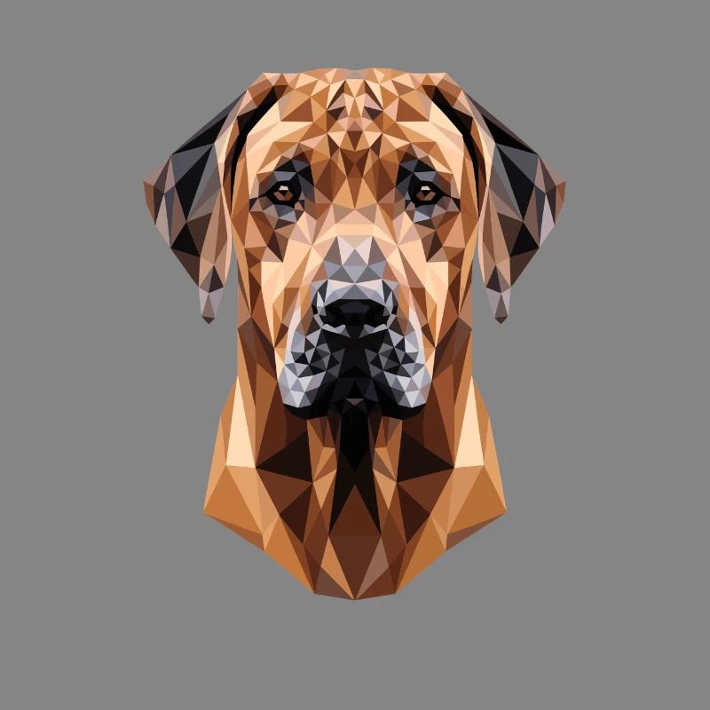 Rhodesian Ridgeback Jagdhund Hunde Stolz Ridgeback