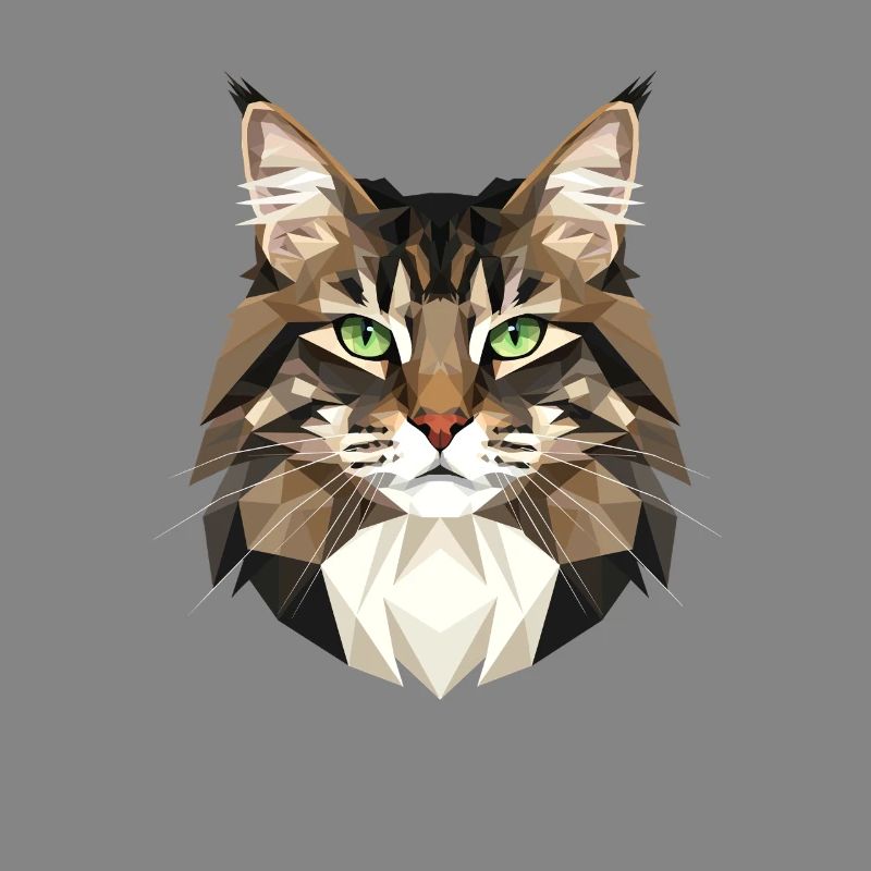 Chat de la forêt norvégienne Chat des forêts norvégiennes