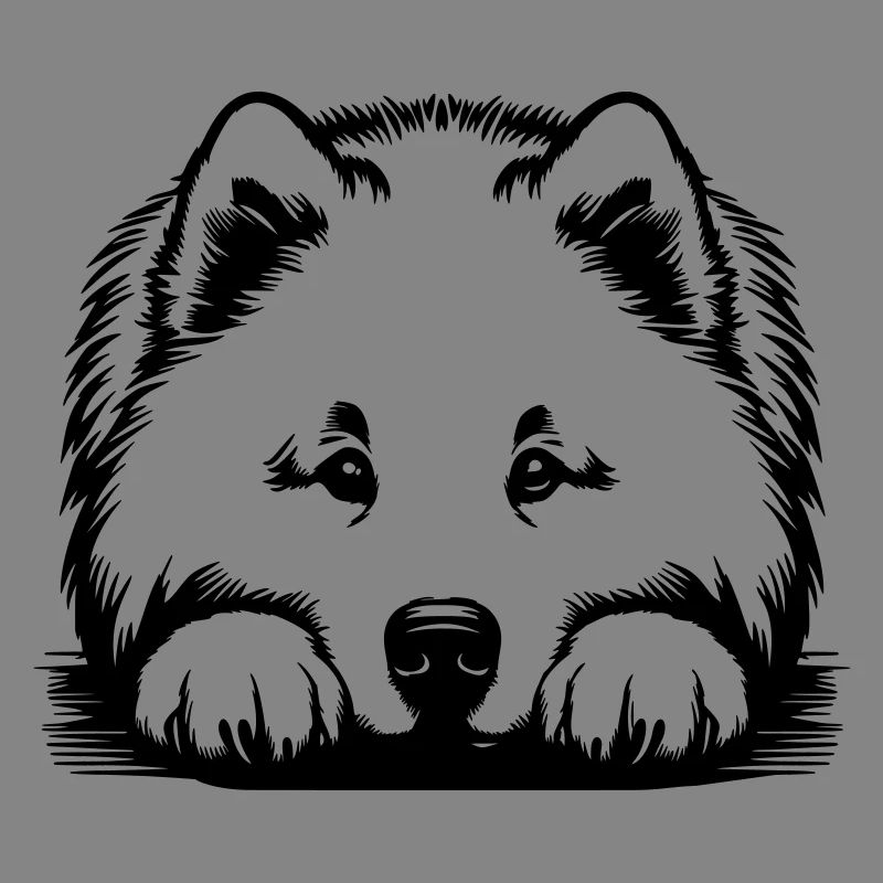 Samoyed head with paws