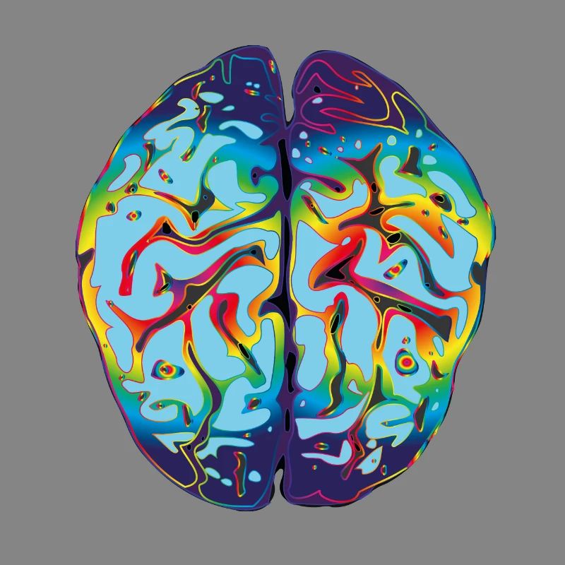 LSD Brain