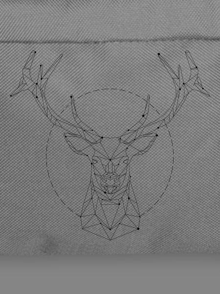 Deer constellation