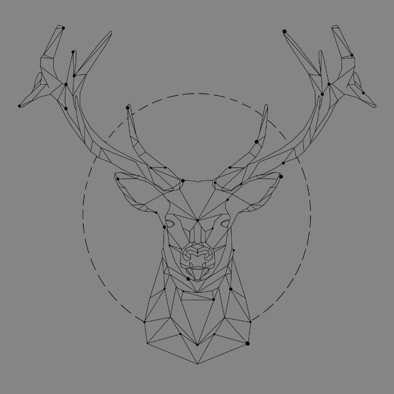 constellation Hirsch