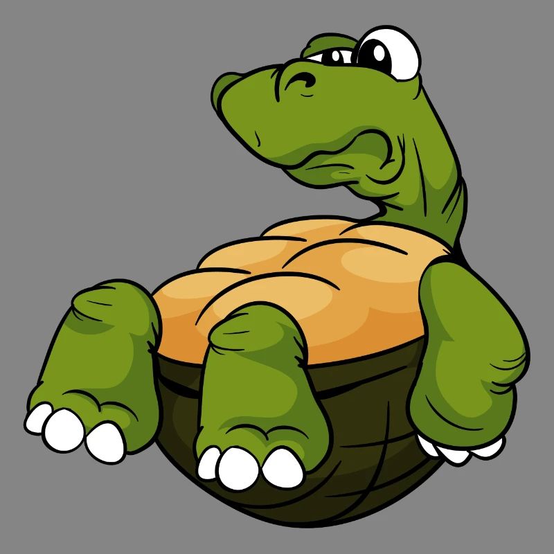 Tortoise turtle