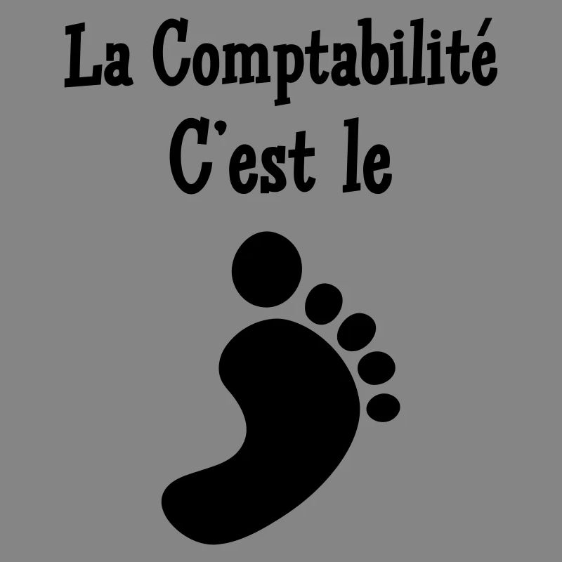 comptable / comptabilité / argent / Finance / Euro