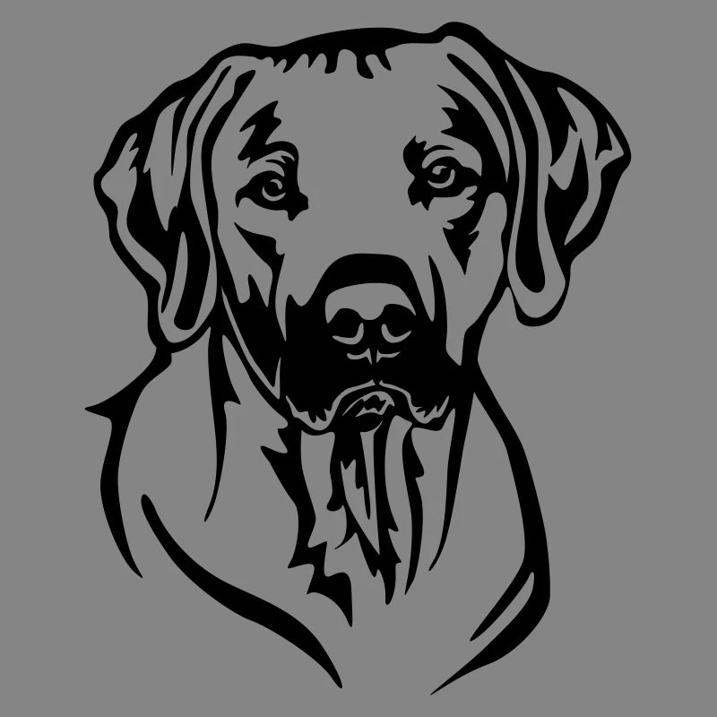 Rhodesian Ridgeback Kopf