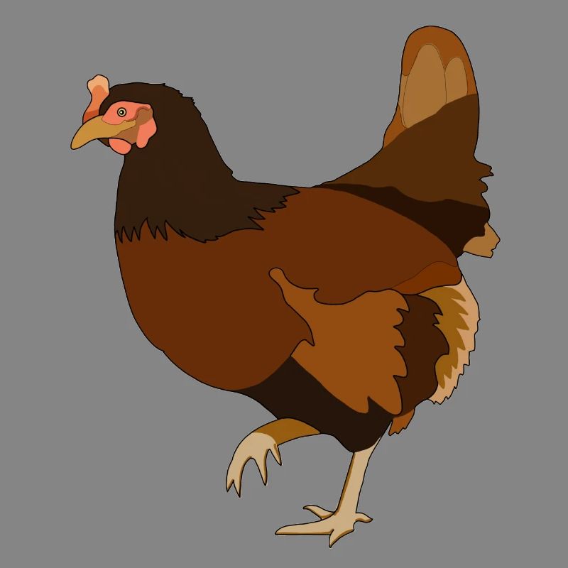 Poulets Poulets