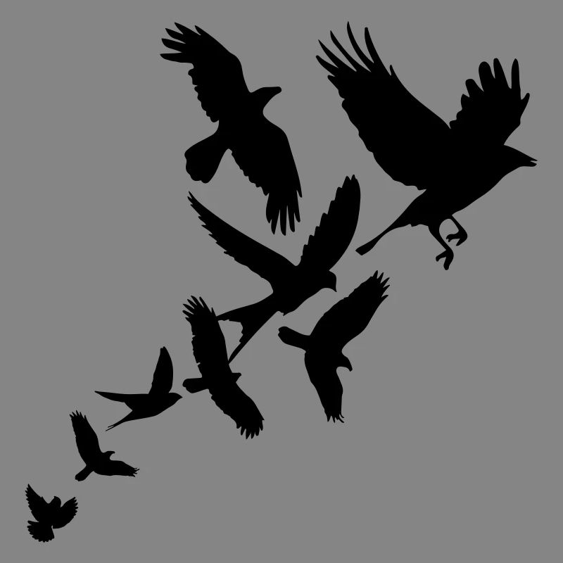 Birds
