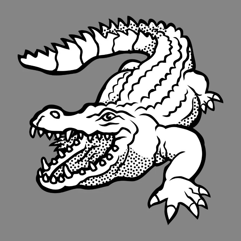 Kroko 79