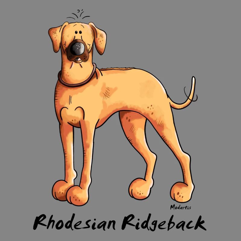 Cute Rhodesian Ridgeback