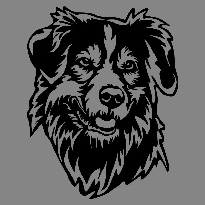 Australian Shepherd Head