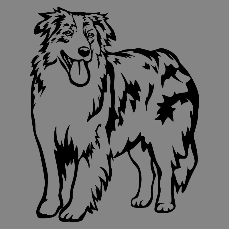 Australian Shepherd