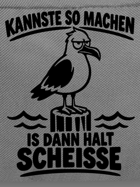 Freche Möwe Kannste so Lustiger Spruch