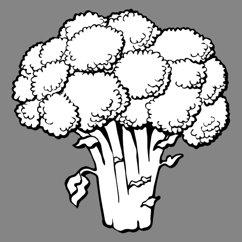 broccoli broccoli veggie gemuese vegetables15