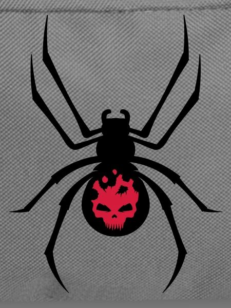 Schwarze Spinne mit Skull Muster