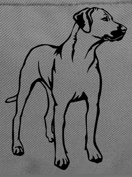 Rhodesian Ridgeback
