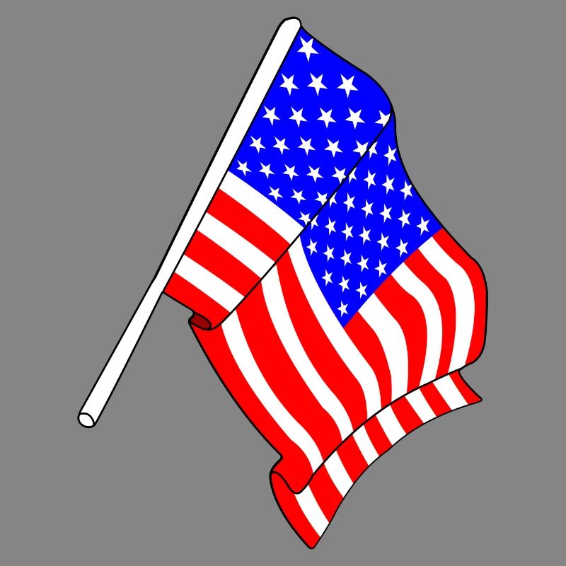 Drapeau des États-Unis, Stars and stripes